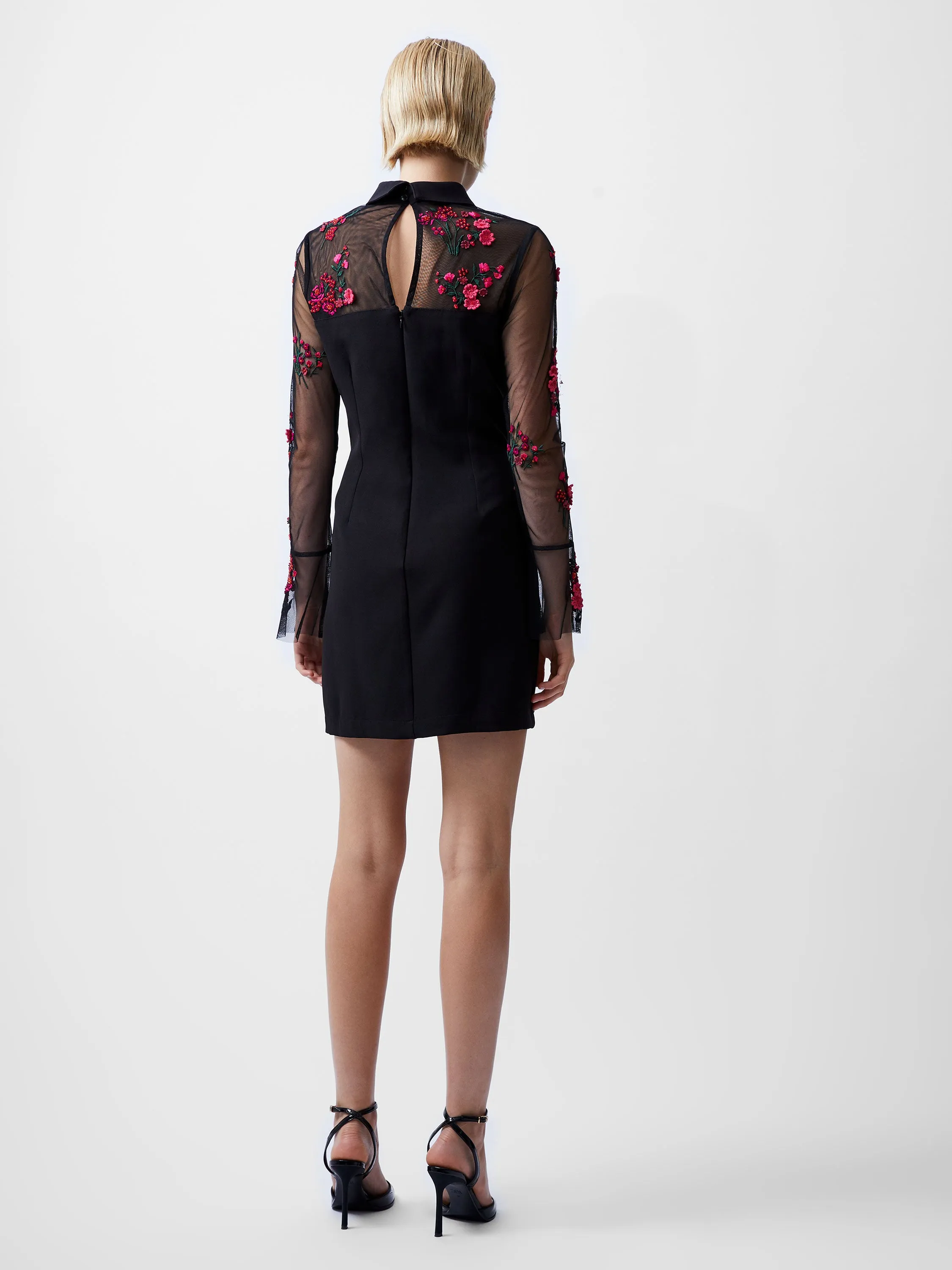 Darcy Embroidered Long Sleeve Mini Dress