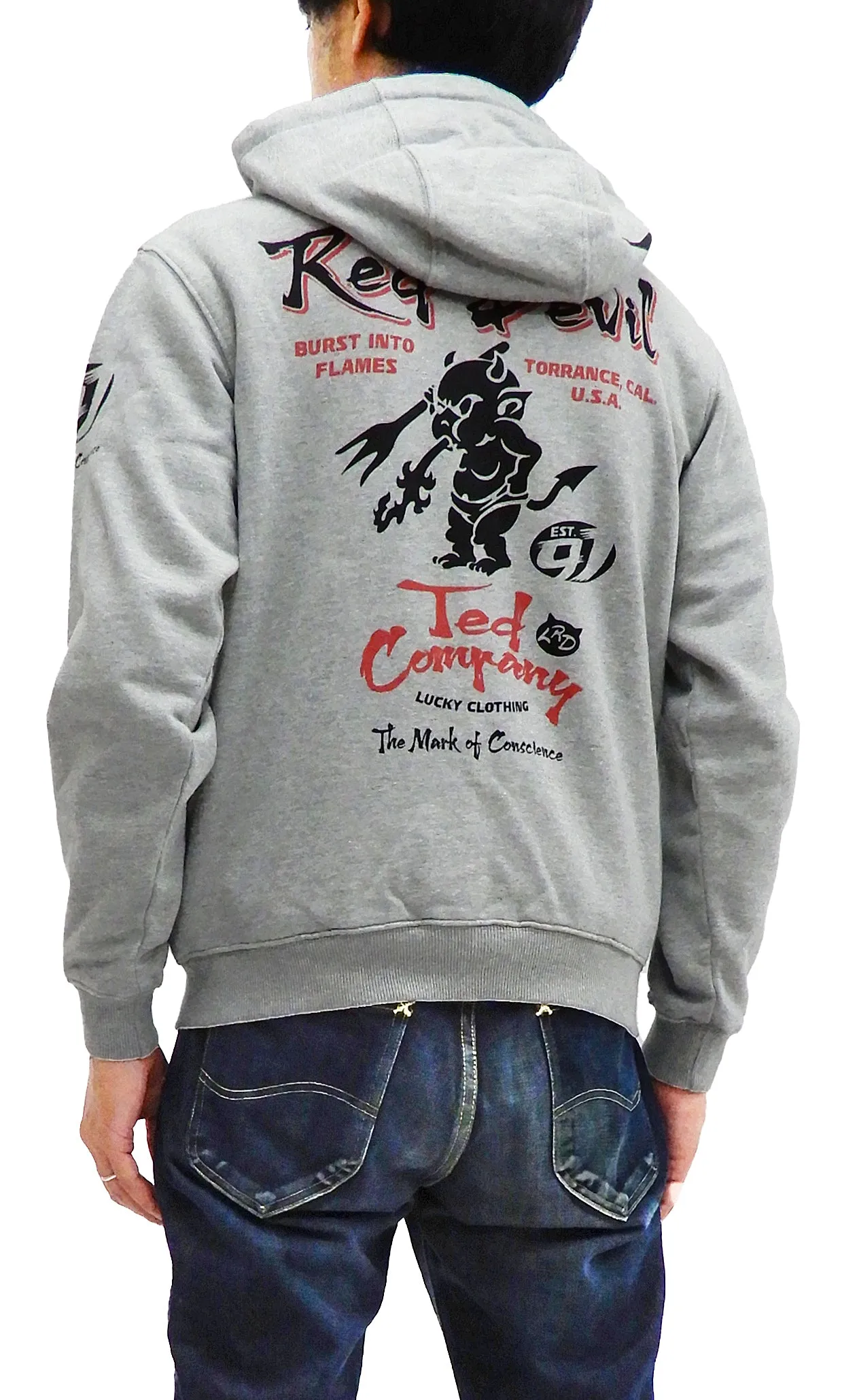 Tedman Full Zip Hoodie Men's Graphic Printed Zip-Up Hooded Sweatshirt TDSP-156 Ash-Gray